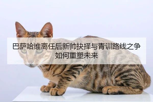 巴萨哈维离任后新帅抉择与青训路线之争如何重塑未来