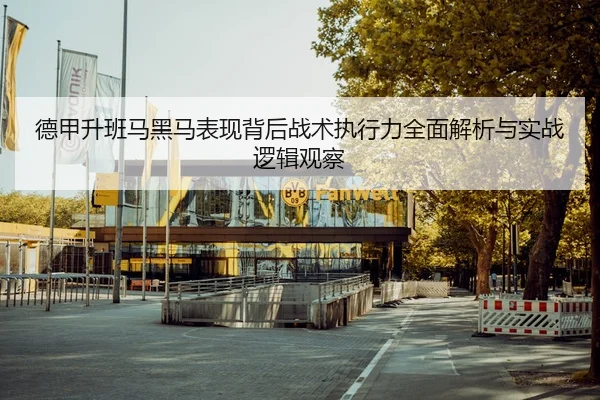 德甲升班马黑马表现背后战术执行力全面解析与实战逻辑观察