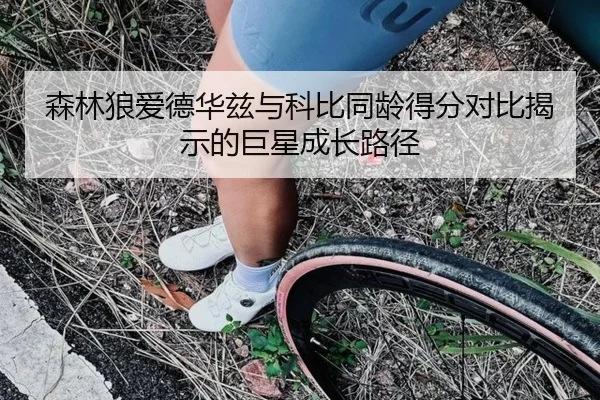 森林狼爱德华兹与科比同龄得分对比揭示的巨星成长路径