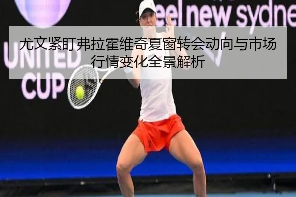 尤文紧盯弗拉霍维奇夏窗转会动向与市场行情变化全景解析