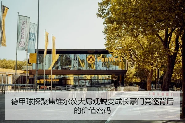 德甲球探聚焦维尔茨大局观蜕变成长豪门竞逐背后的价值密码